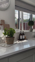 Load and play video in Gallery viewer, Amber Glass Soap Bottles 500ml, Large Acacia Tray & Dish Brush Set