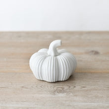 Load image into Gallery viewer, White Ribbed Ceramic Pumpkin - 2 sizes
