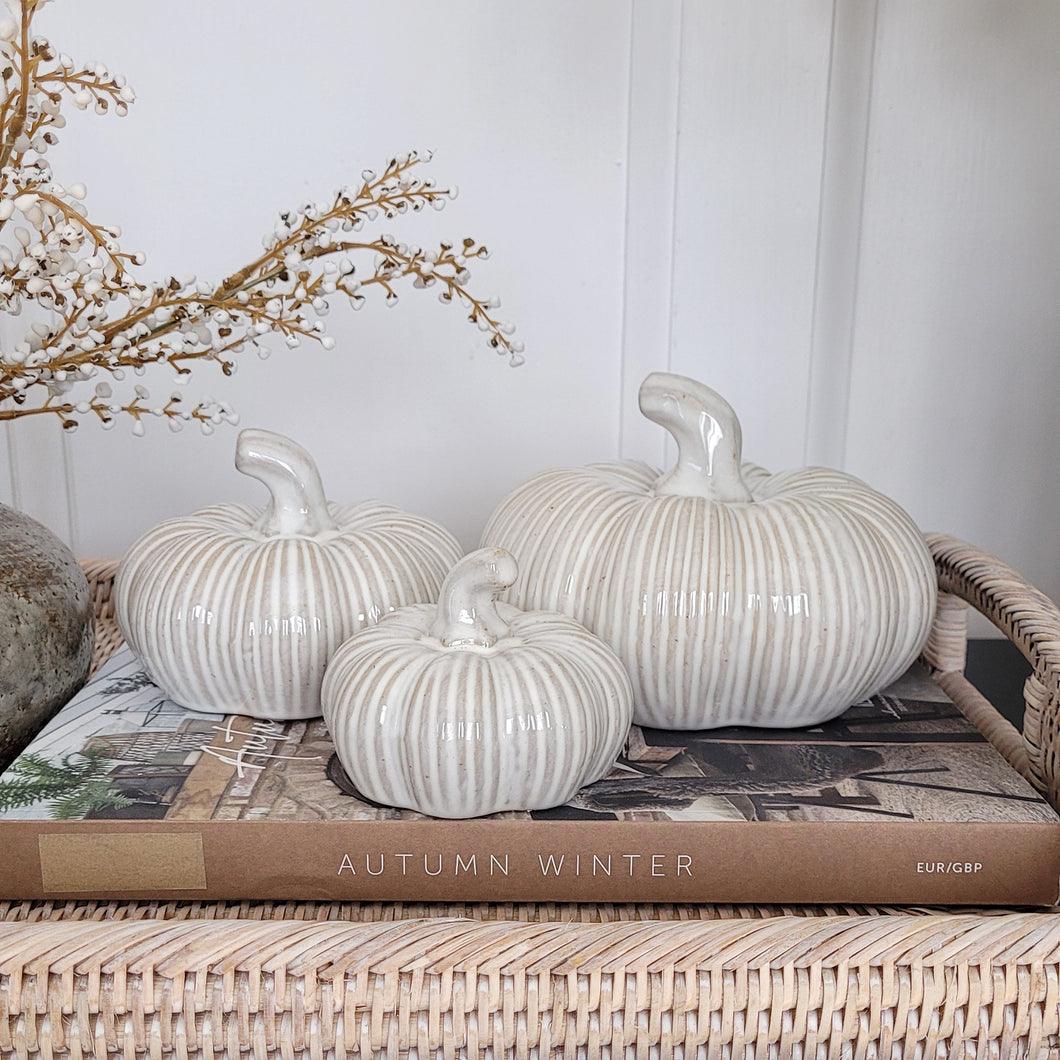 Grey Ribbed Ceramic Pumpkin - 3 sizes