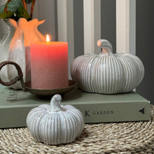 Load image into Gallery viewer, Grey Ribbed Ceramic Pumpkin - 3 sizes
